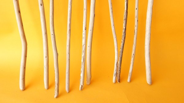 画像2: 棒流木セット (2)