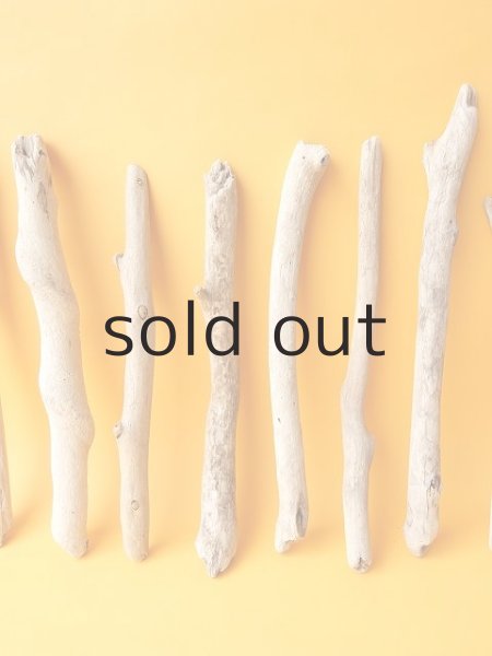 画像3: 小枝流木セット (3)