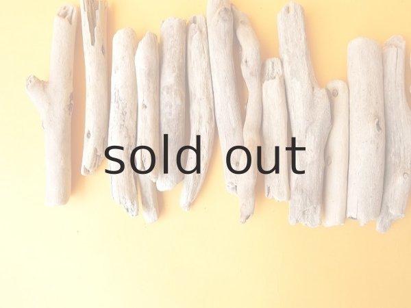 画像2: 小枝流木セット (2)