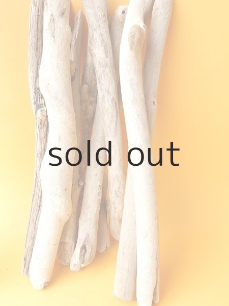 画像5: 小枝流木セット (5)