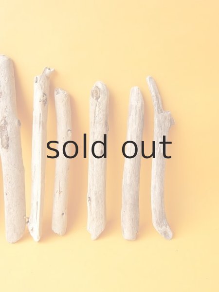 画像4: 小枝流木セット (4)