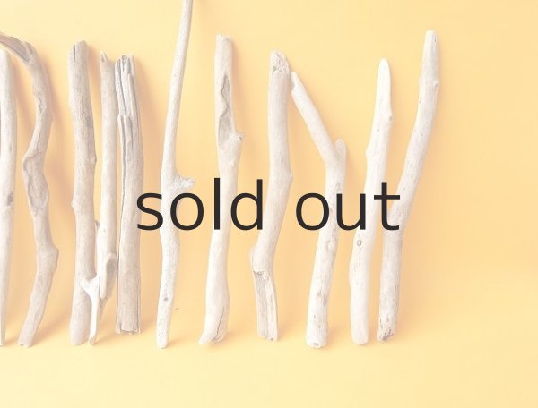 画像4: 小枝流木セット (4)