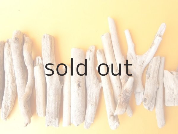 画像3: 小枝流木セット (3)