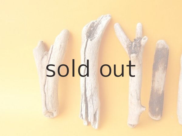 画像2: 小枝流木セット (2)