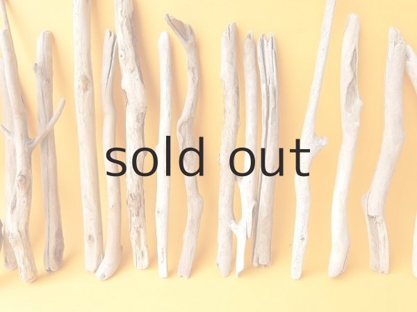 画像3: 小枝流木セット (3)