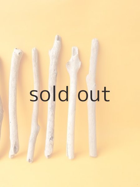 画像4: 小枝流木セット (4)