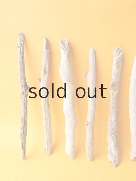 画像2: 小枝流木セット (2)