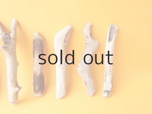 画像3: 小枝流木セット (3)