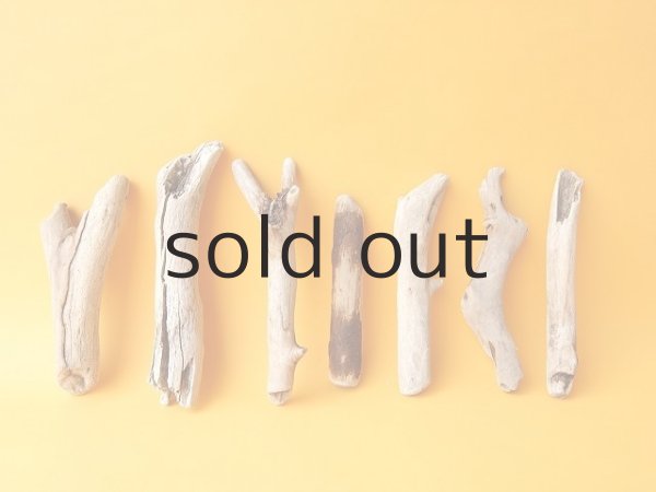 画像1: 小枝流木セット (1)