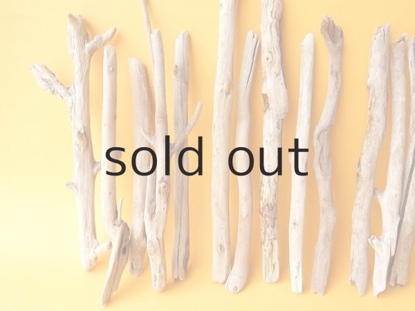 画像2: 小枝流木セット (2)