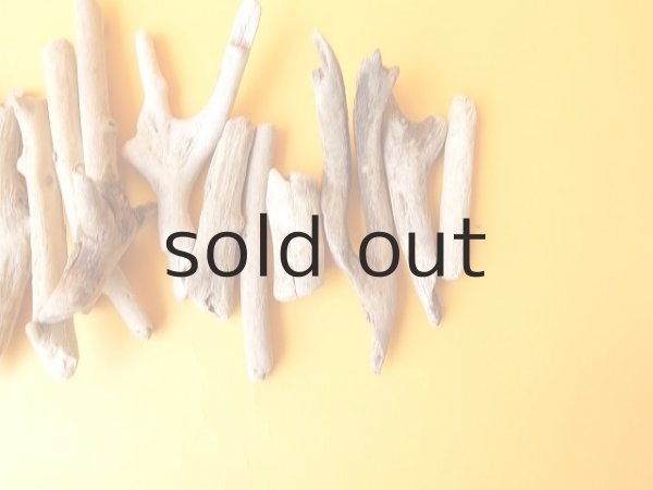 画像4: 小枝流木セット (4)