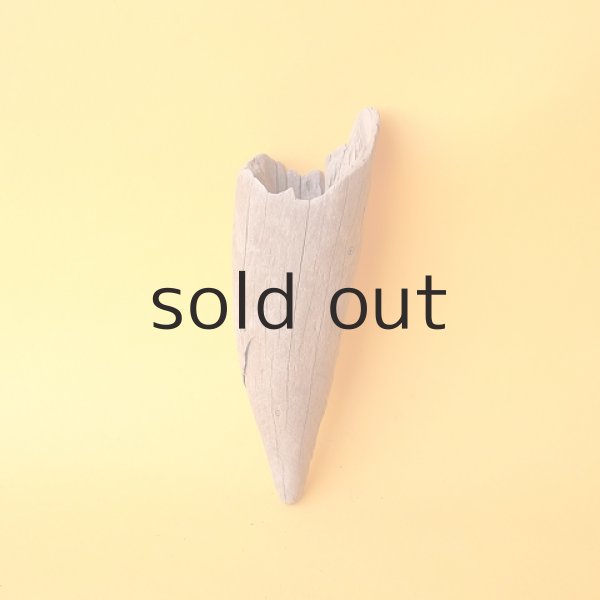 画像2: 変形流木 (2)