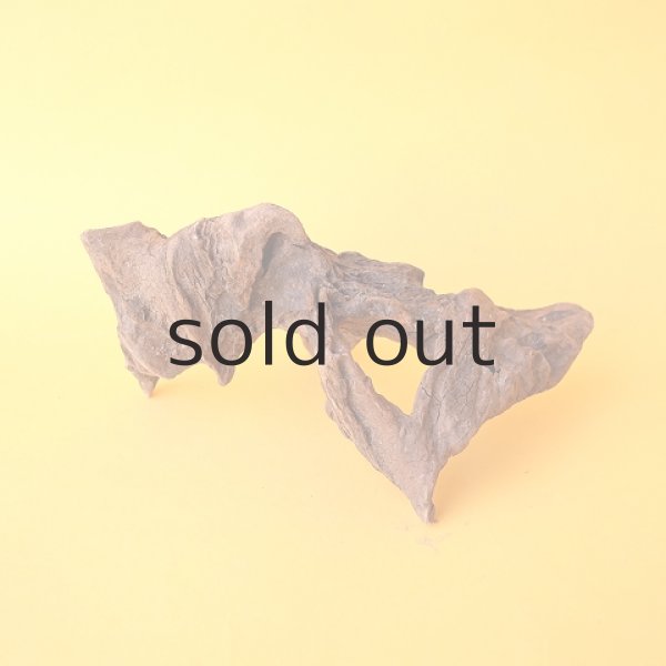 画像2: 変形流木 (2)