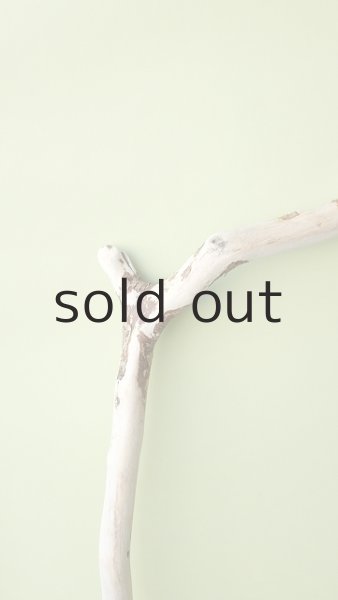 画像3: 枝流木 (3)