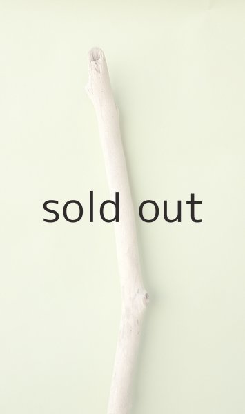 画像4: 枝流木 (4)