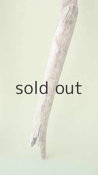 画像5: 枝流木 (5)