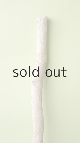 画像4: 枝流木 (4)