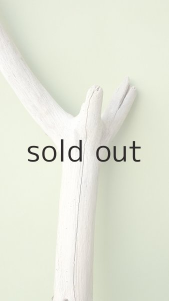 画像3: 枝流木 (3)