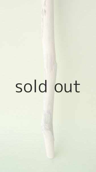 画像2: 枝流木 (2)