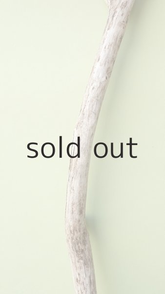 画像3: 枝流木 (3)