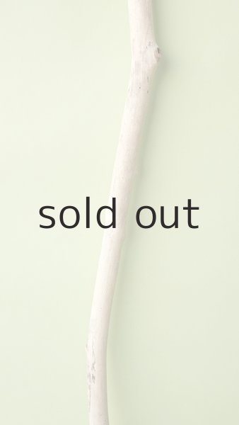 画像3: 枝流木 (3)