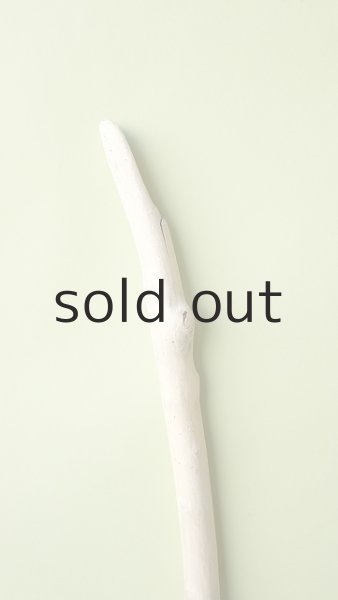 画像4: 枝流木 (4)