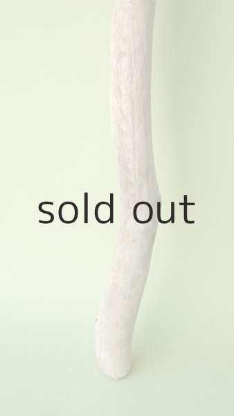 画像2: 枝流木 (2)