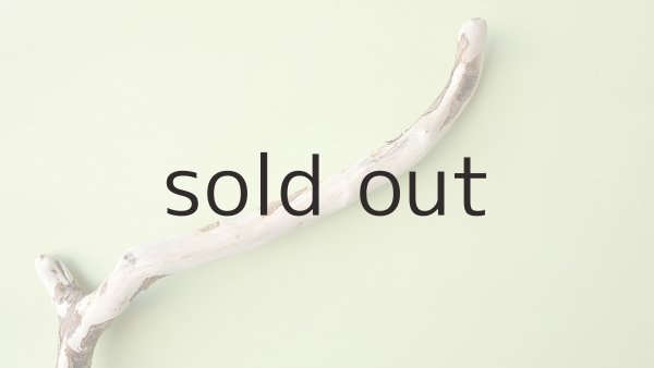 画像4: 枝流木 (4)