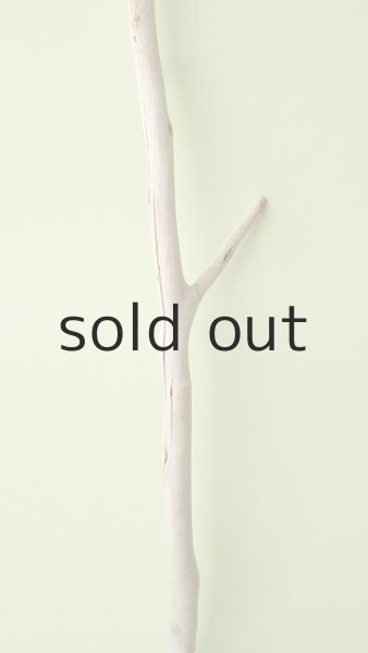 画像3: 枝流木 (3)