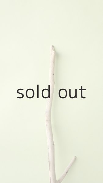 画像4: 枝流木 (4)