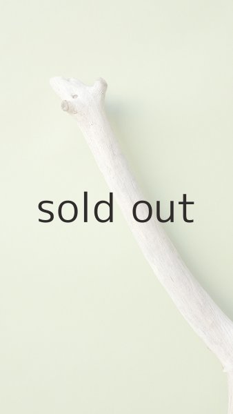 画像4: 枝流木 (4)