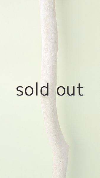 画像3: 枝流木 (3)