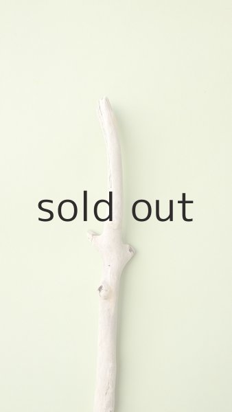 画像4: 枝流木 (4)