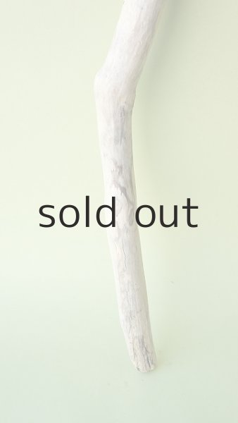 画像2: 枝流木 (2)