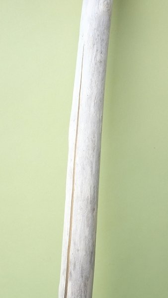 画像3: 枝流木 (3)