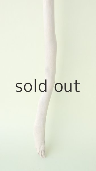 画像2: 枝流木 (2)