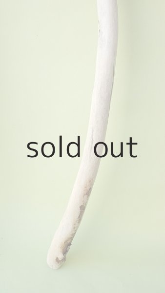 画像5: 枝流木 (5)