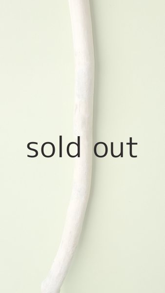 画像3: 枝流木 (3)