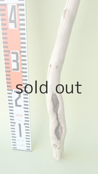 画像5: 枝流木 (5)