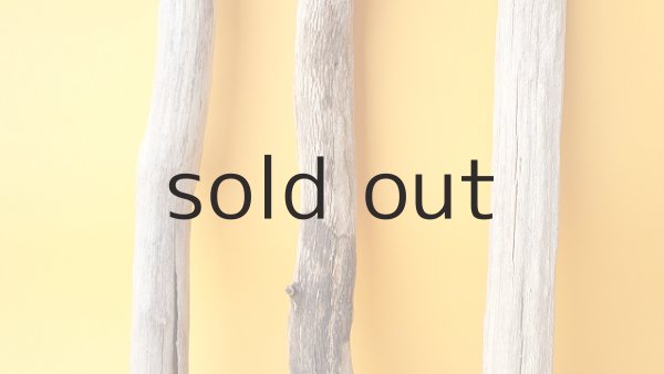 画像3: 小枝流木セット (3)