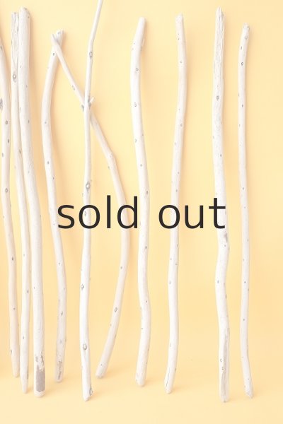 画像3: 棒流木セット (3)