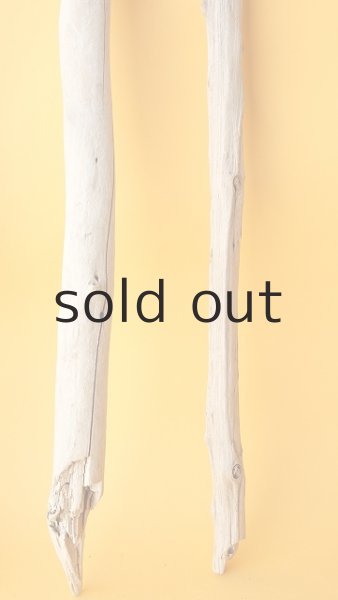 画像6: 小枝流木セット (6)