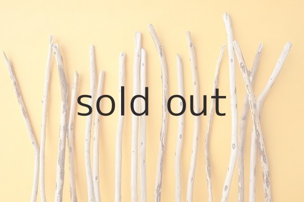 画像3: 棒流木セット (3)