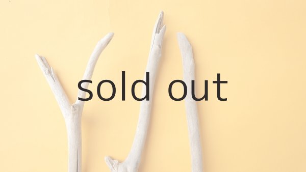 画像4: 小枝流木セット (4)