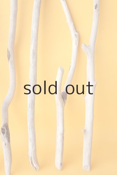 画像6: 小枝流木セット (6)