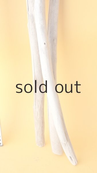 画像5: 小枝流木セット (5)