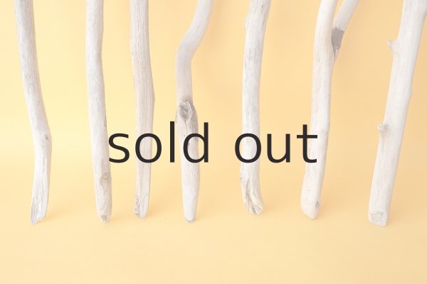 画像2: 小枝流木セット (2)