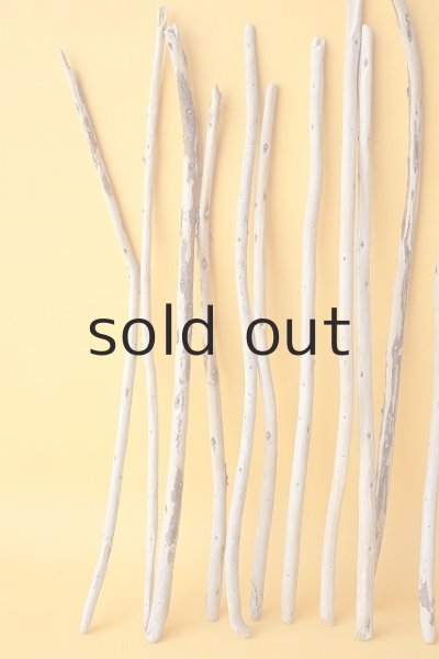 画像4: 棒流木セット (4)