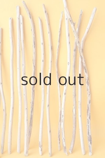 画像5: 棒流木セット (5)