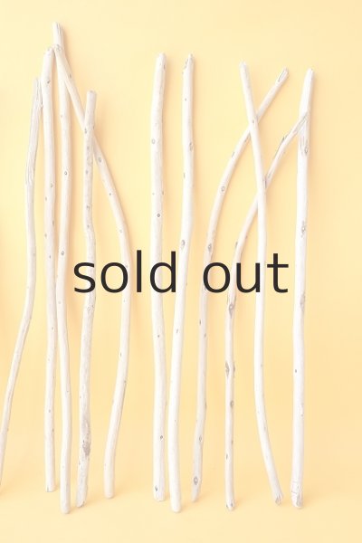 画像5: 棒流木セット (5)